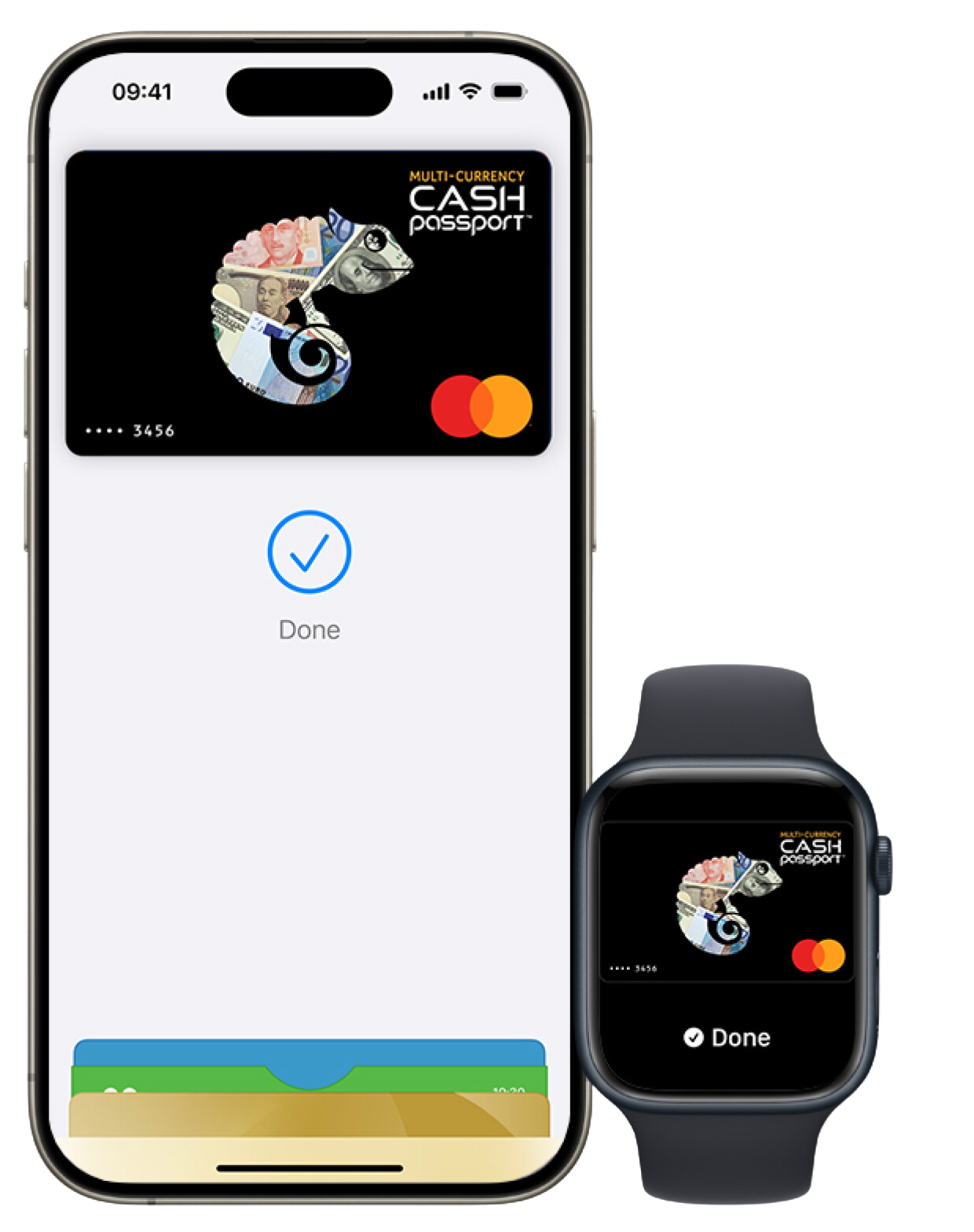 Apple pay mobile interface